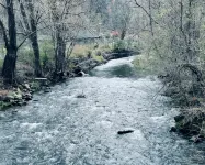 Cozy retreat in Damascus on the AT and Creeper Trail. Pet Friendly! - 3-Sterne