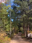 Creekside cabin - Chalets