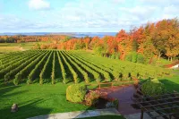 Lake Leelenau Waterfront Cottage-Close to Traverse City, Fishtown & Suttons Bay - 4 stelle