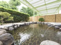 Nogi Onsen Hotel - Hot Springs