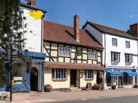 Seven Stars - Pet friendly