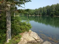 Cove Cottage: Quietly Nestled Between The Pines Of Tranquil Seavey Cove - Wifi