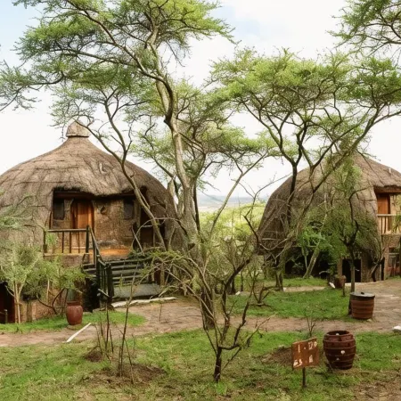 Serengeti Serena Safari Lodge Hotels in Serengeti