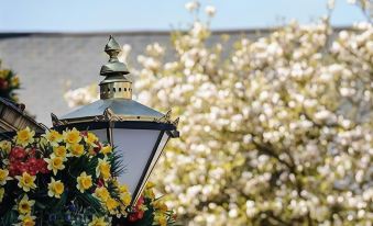 a close - up view of a lantern with a flower arrangement in front of a tree at George Inn