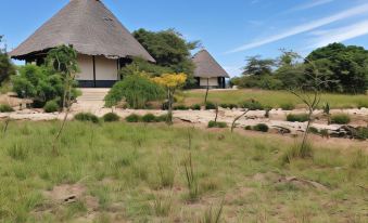 Masai Mara Explore Camp