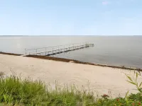 "Gull" - 150m from the Sea