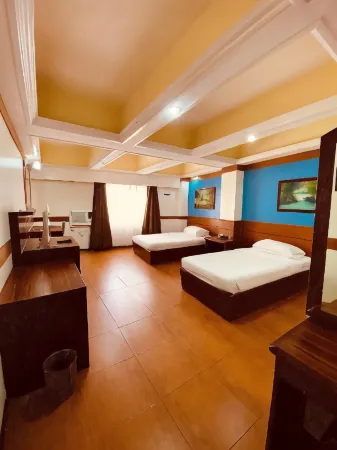 Wregent Plaza Hotel Отели в г. Тагбиларан