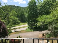 Grafton Lodge - Mountain view
