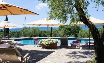 Agriturismo la Valle di Vico