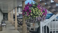 Shoreside Inn & Suites Wabamun - que admiten mascotas