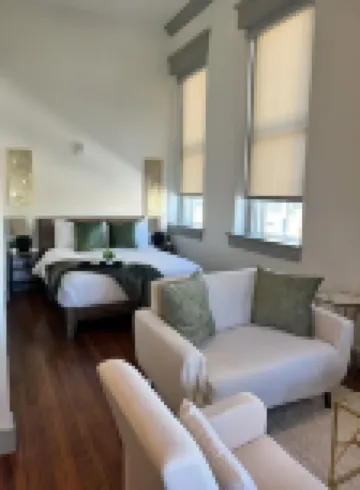 Serene Urban Oasis Hotels in 