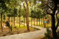 Jungle Safari Resort Hotels in der Nähe von Sauraha