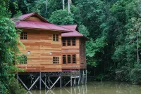 Borneo Tropical Rainforest Resort