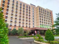 Hotel Olive