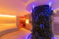 Hotel Mediterraneo - bar