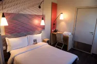 Ibis Tatuí