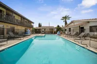 The Lemon Tree Hotel - piscine