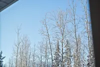 Cozy Retreat in Eagle River, Ak Hotels in Eagle River