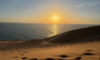 Red Carpet Surf Camp Surf , Work & Connect