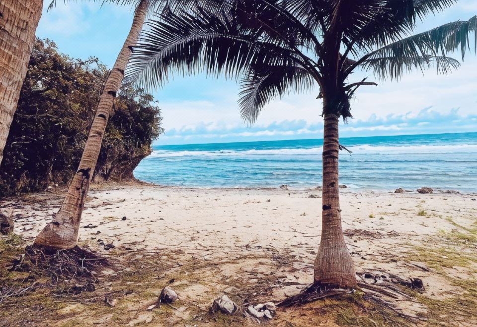 카사비아 객실 이미지