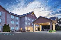 Comfort Inn Whitehall Near Michigan's Adventure Hotel a White River Township