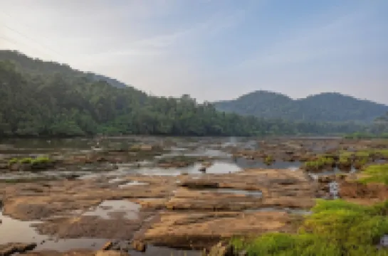 Riverok Resorts Hotels in Pariyaram