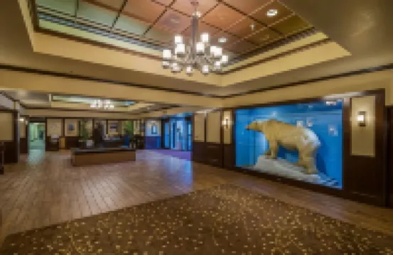 เดอะเลคฟรอนท์ แองคอริจ