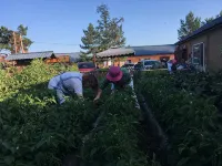 北極村辛勤農家民宿