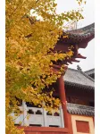 Vichy Hotel (Mingyue Eternal Love Store) - Mountain view
