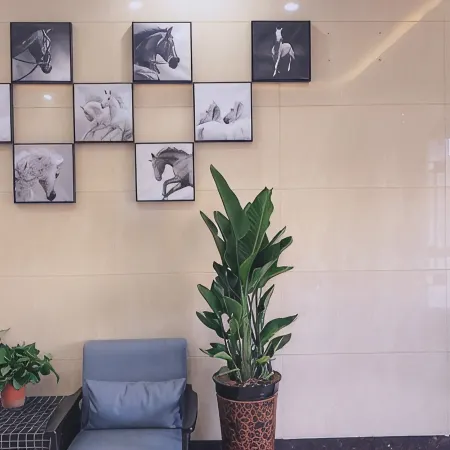 Junyi Hotel（Lingwu North Station Store）