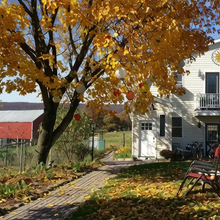 Tiny House at Leaser Lake B and B -- Cozy, Comfortable, Private Country Getaway