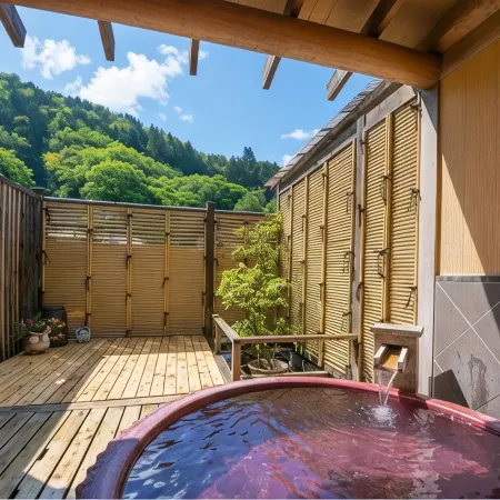 Ryokan New Ougiya