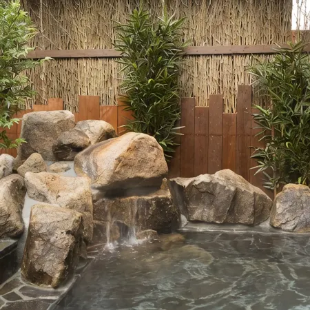 Dormy Inn Premium Kanda