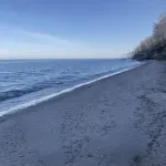 Entire Mansion with Indoor Pool! Perfect for Hosting Groups. on Lake Michigan - 5 звезд