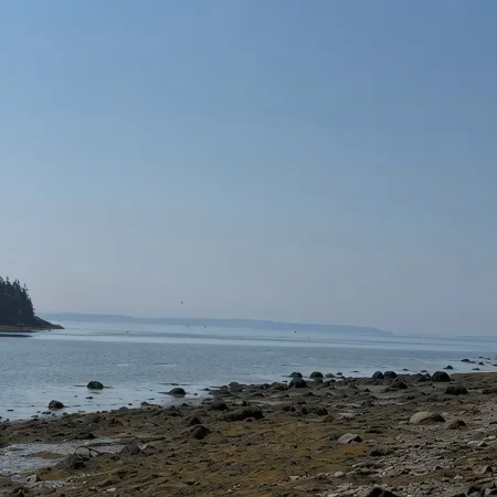 Oceanside Acadia Artist's Studio with high end finishes and local character