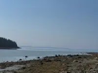 Oceanside Acadia Artist's Studio with high end finishes and local character