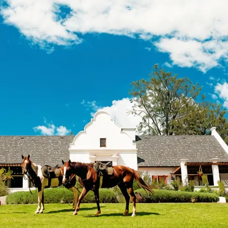 The Manor at Ngorongoro