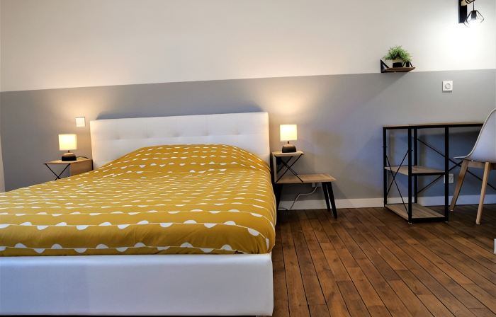 Completely renovated modern apartment