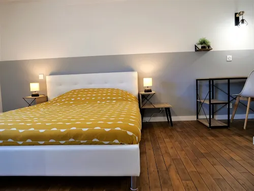 Completely renovated modern apartment