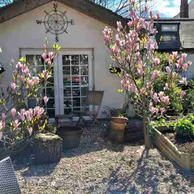 The Little House in HullPET FRIENDLY Sanctuary in the City Hotel Exterior