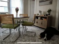 Cozy Dog-Friendly Boho Duplex Hoteles en Lakewood