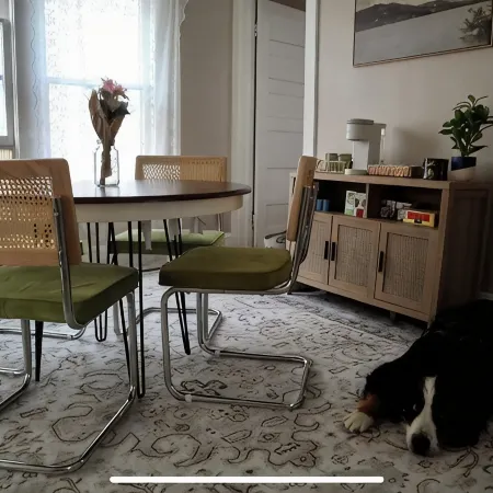 Cozy Dog-Friendly Boho Duplex