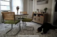 Cozy Dog-Friendly Boho Duplex - アパートメント