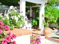 B&B le Vele Hotels in Maruggio