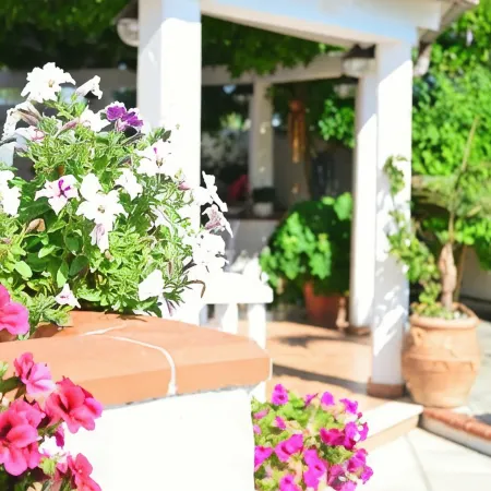 B&B le Vele Отели в г. Маруджо