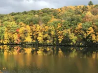 Cabin on the North Country Trail and close to the Clarion River. Open all Year. - Homestays