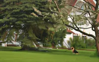 ホウザー デア ヴィラ イタリア - Wi-Fi