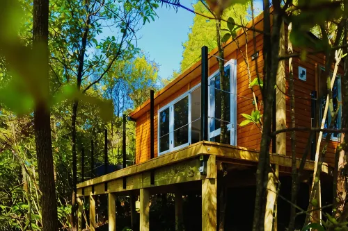Fantail Bush Chalet, bush and golf on your doorstep! - Chalets