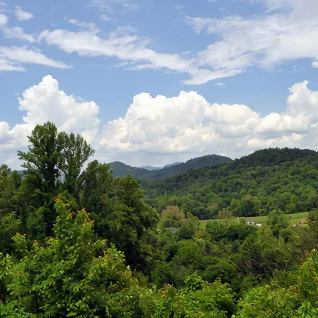 Deer Country Vacation Cabins #2 - Long Range View, Dogs Friendly