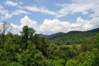 Deer Country Vacation Cabins #2 - Long Range View, Dogs Friendly
